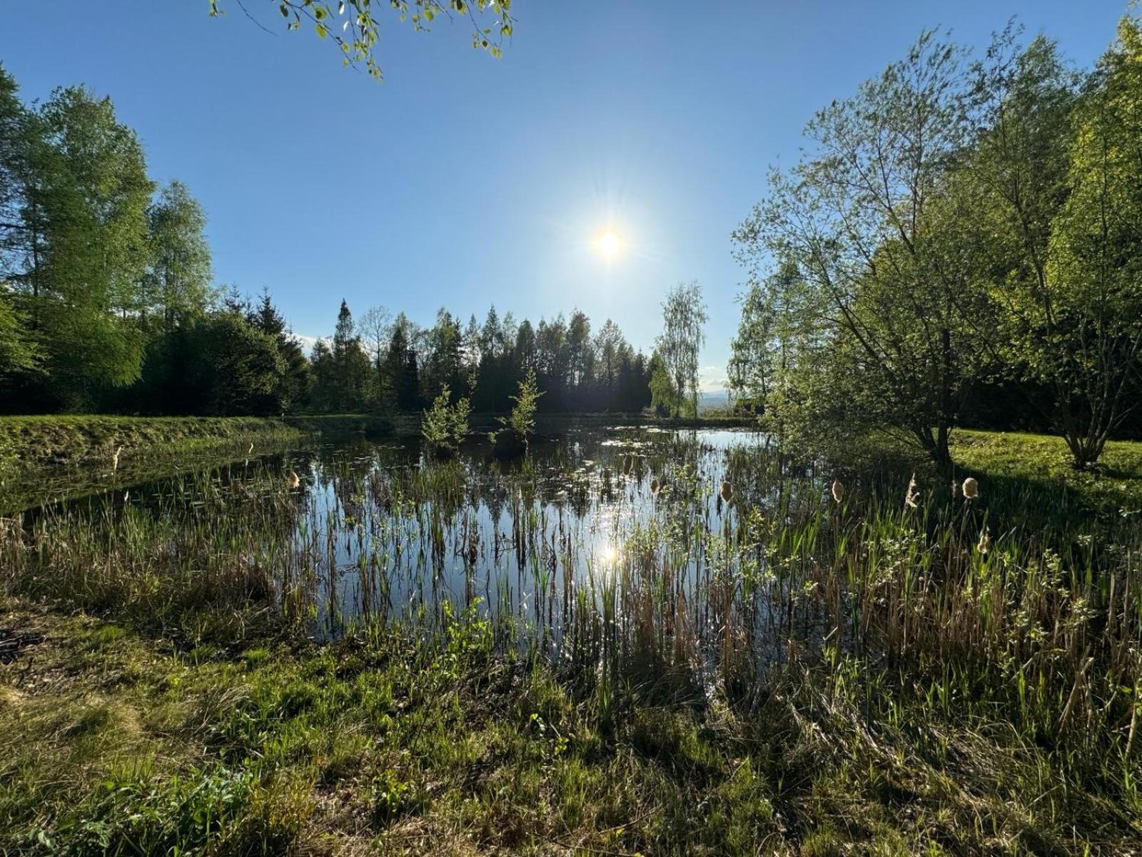 Bukolik Villa Bukowiec Kültér fotó