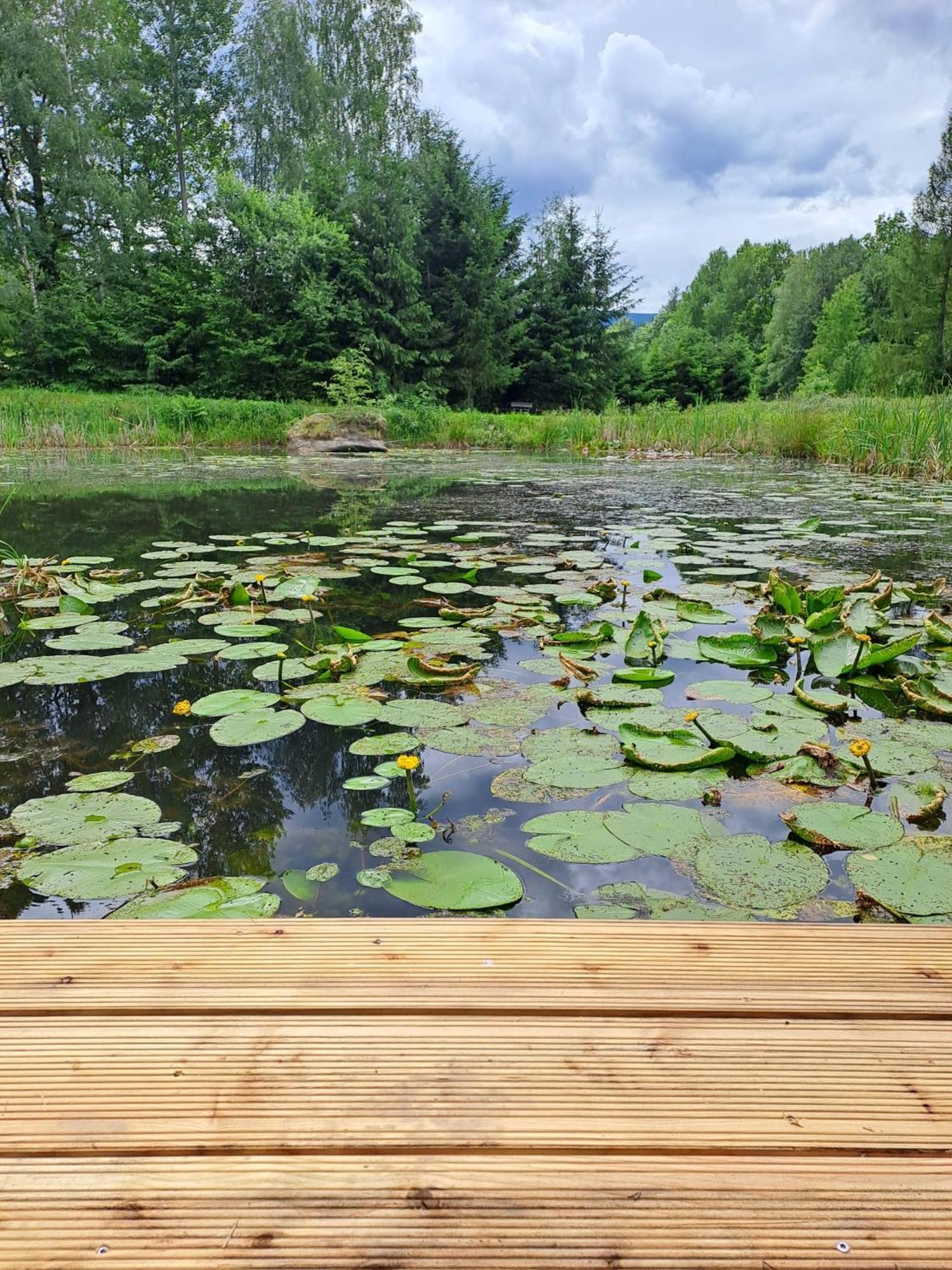 Bukolik Villa Bukowiec Kültér fotó
